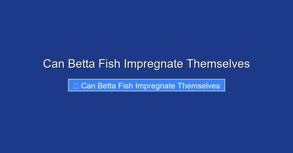 Can Betta Fish Impregnate Themselves