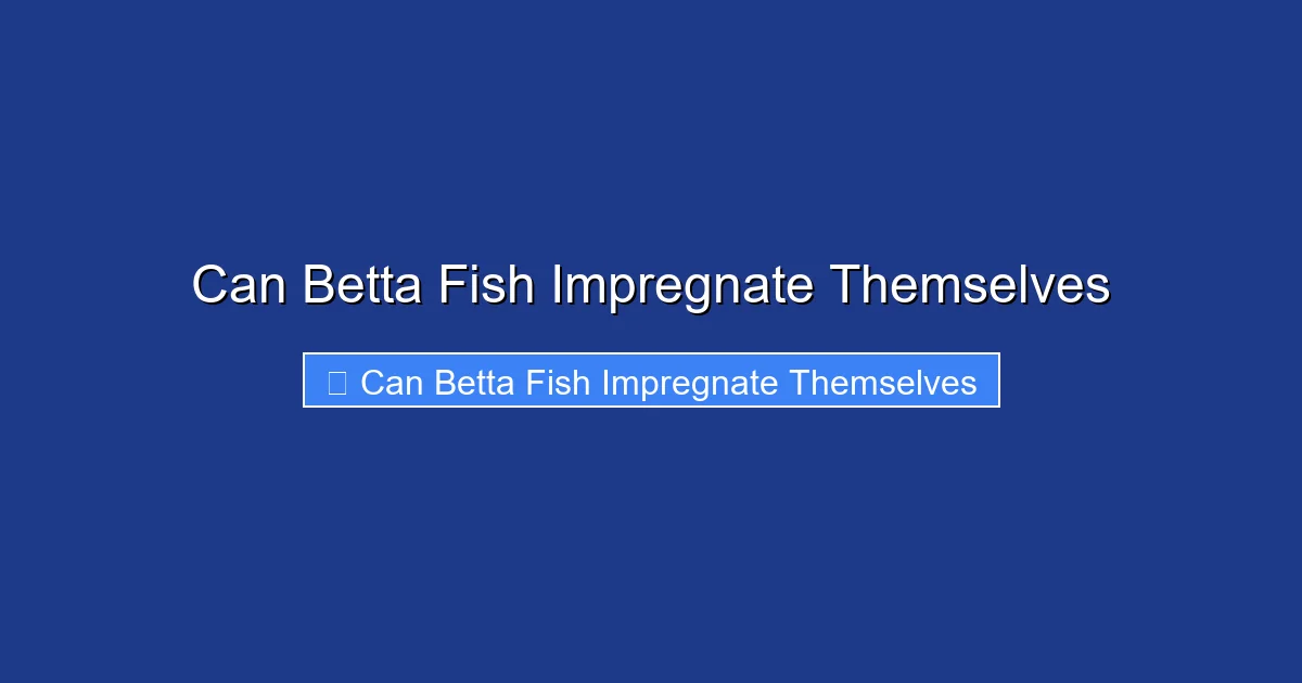 Can Betta Fish Impregnate Themselves