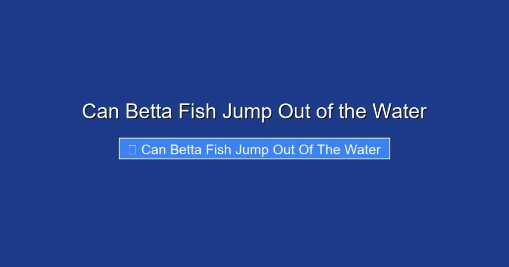 Can Betta Fish Jump Out of the Water