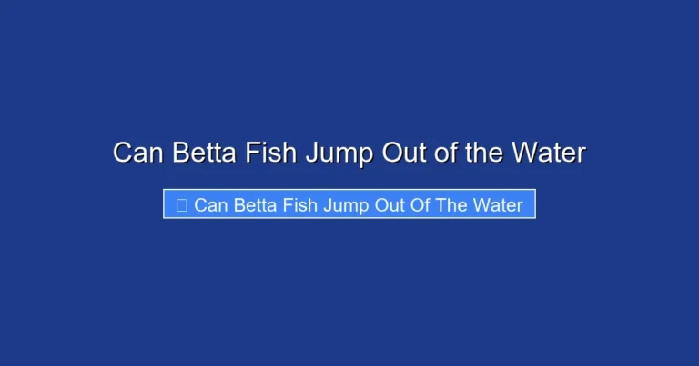 Can Betta Fish Jump Out of the Water