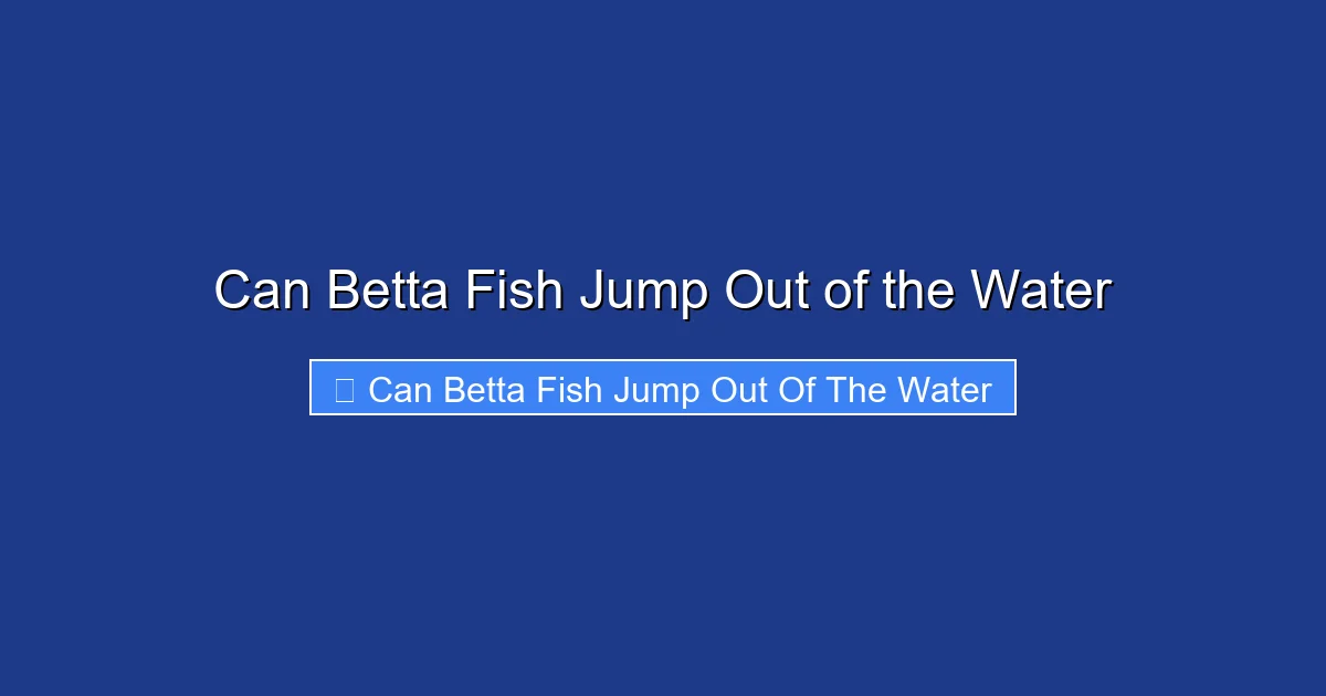 Can Betta Fish Jump Out of the Water