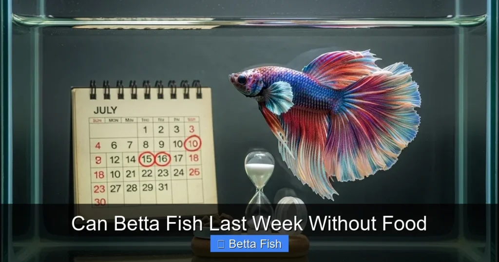 Can Betta Fish Last Week Without Food