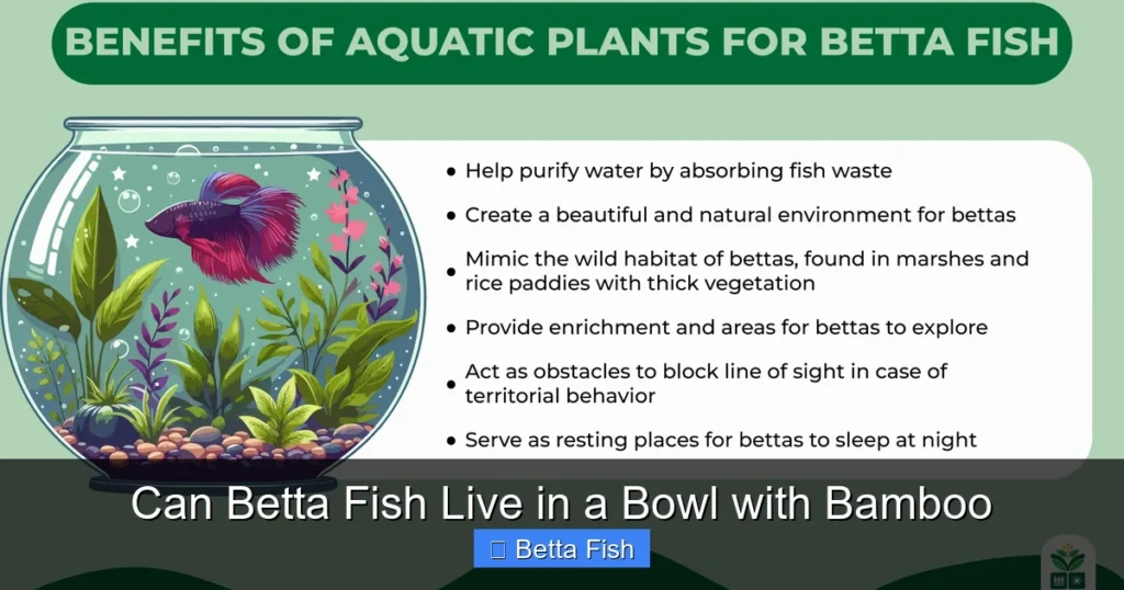 Can Betta Fish Live in a Bowl with Bamboo