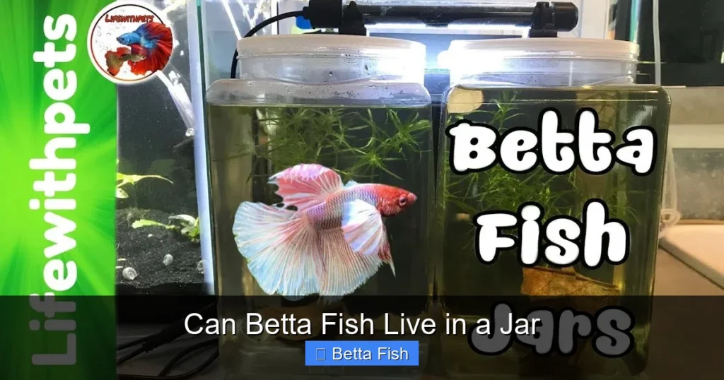 Can Betta Fish Live in a Jar