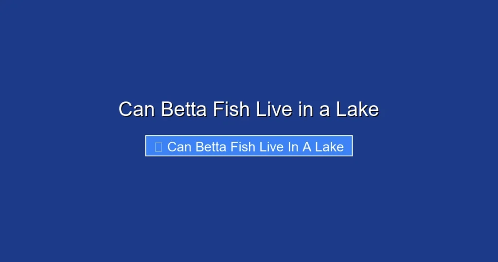 Can Betta Fish Live in a Lake