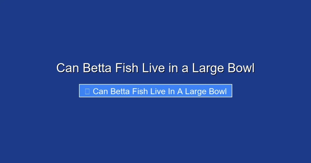 Can Betta Fish Live in a Large Bowl