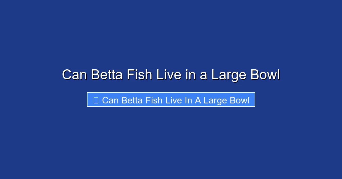 Can Betta Fish Live in a Large Bowl