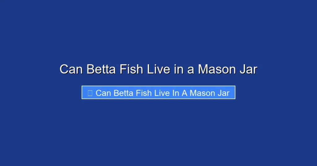 Can Betta Fish Live in a Mason Jar