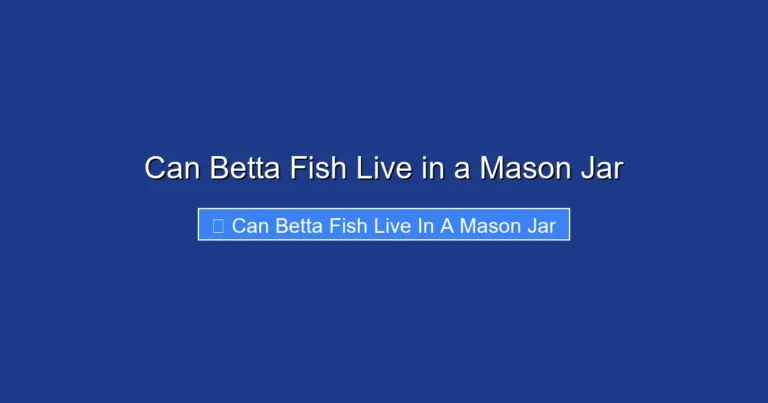 Can Betta Fish Live in a Mason Jar
