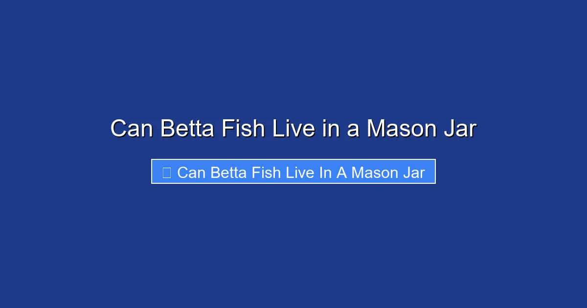 Can Betta Fish Live in a Mason Jar