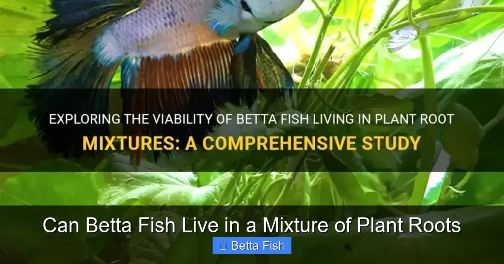 Can Betta Fish Live in a Mixture of Plant Roots