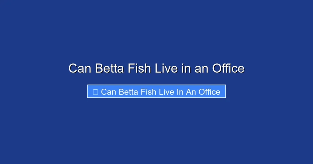 Can Betta Fish Live in an Office