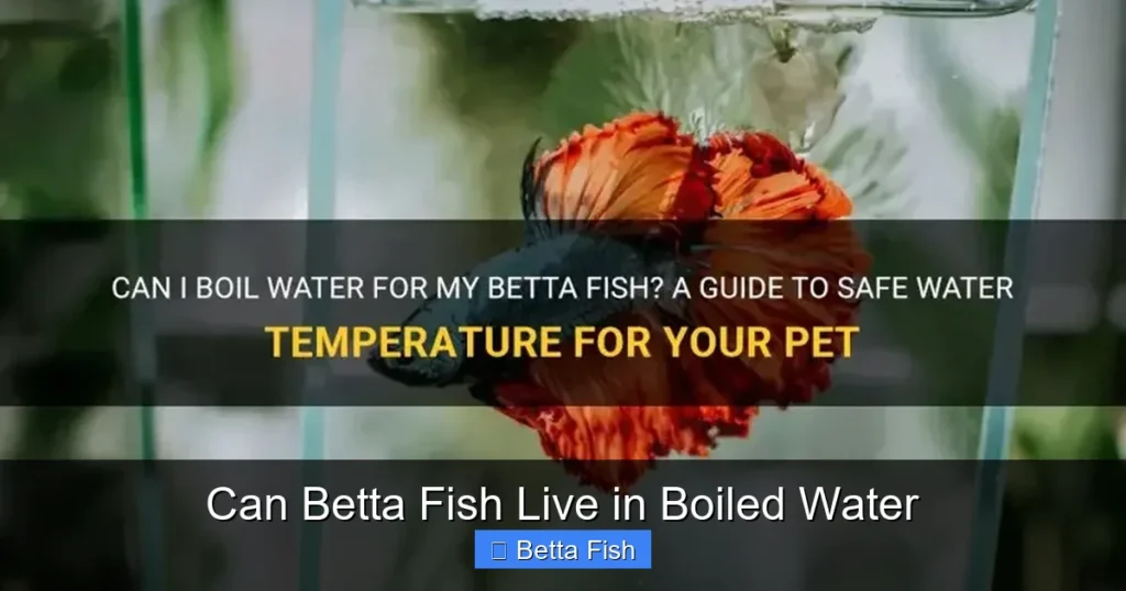 Can Betta Fish Live in Boiled Water
