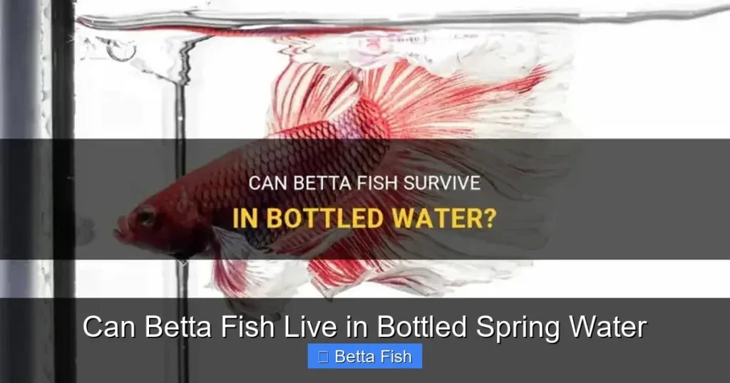 Can Betta Fish Live in Bottled Spring Water
