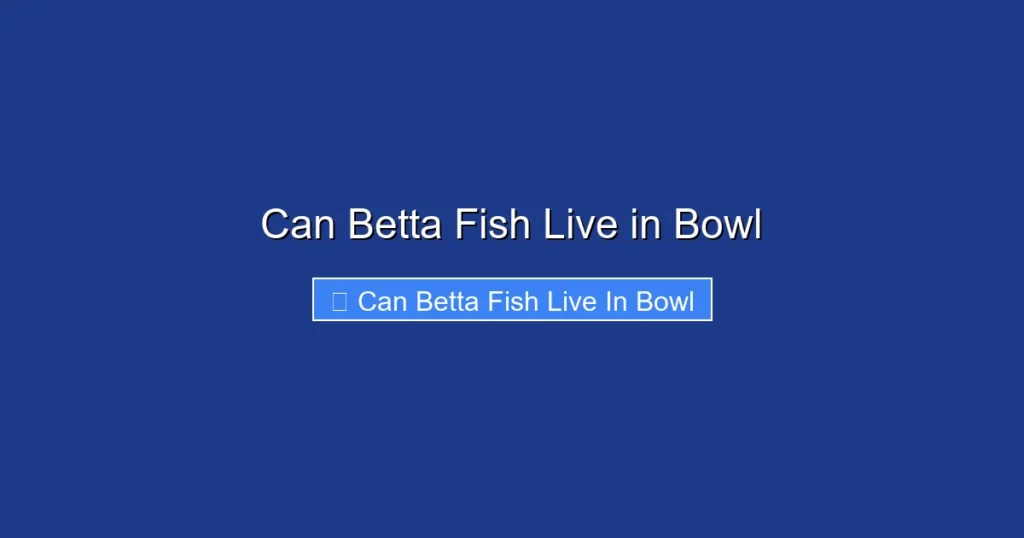 Can Betta Fish Live in Bowl