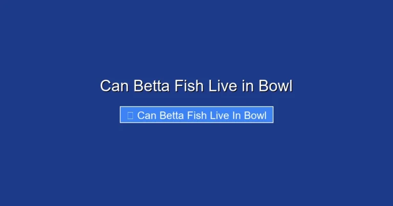 Can Betta Fish Live in Bowl