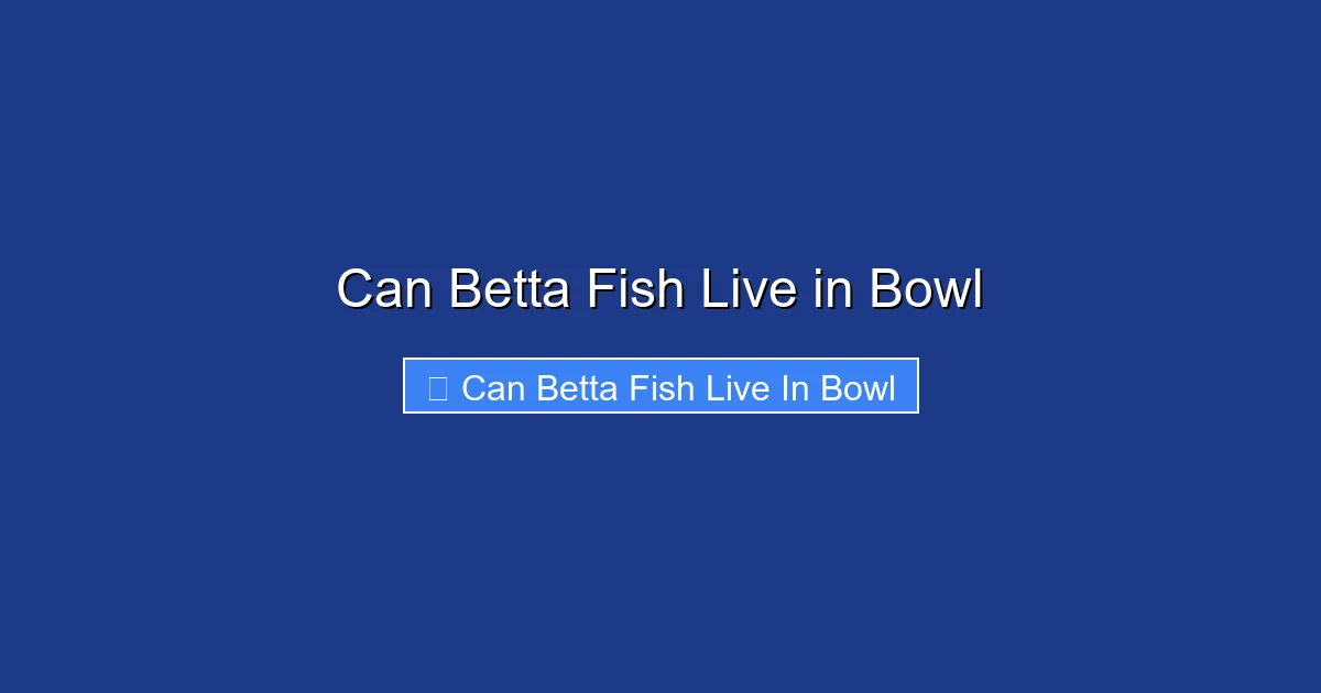 Can Betta Fish Live in Bowl