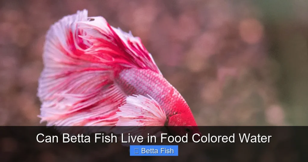 Can Betta Fish Live in Food Colored Water