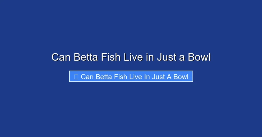 Can Betta Fish Live in Just a Bowl