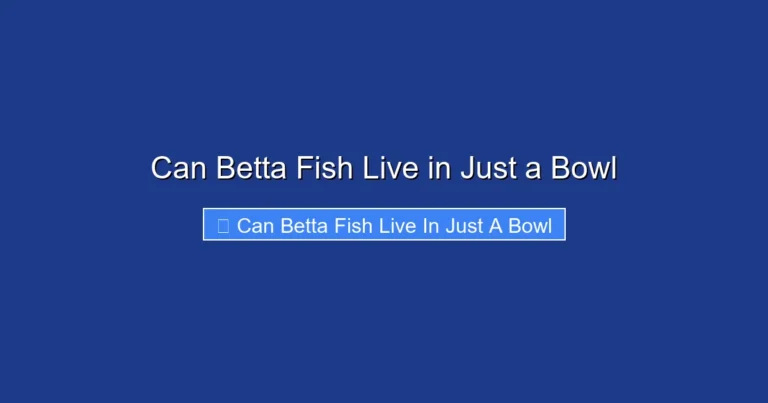 Can Betta Fish Live in Just a Bowl
