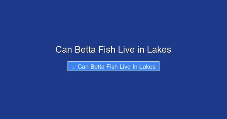 Can Betta Fish Live in Lakes