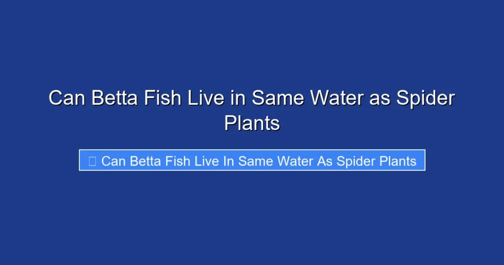 Can Betta Fish Live in Same Water as Spider Plants
