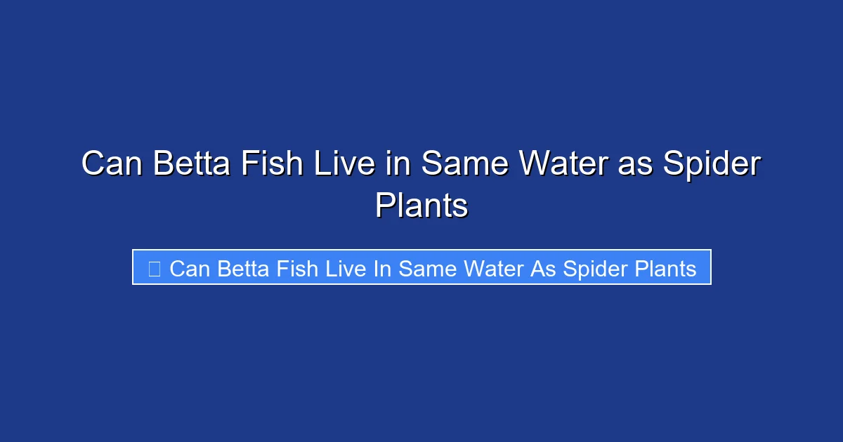 Can Betta Fish Live in Same Water as Spider Plants