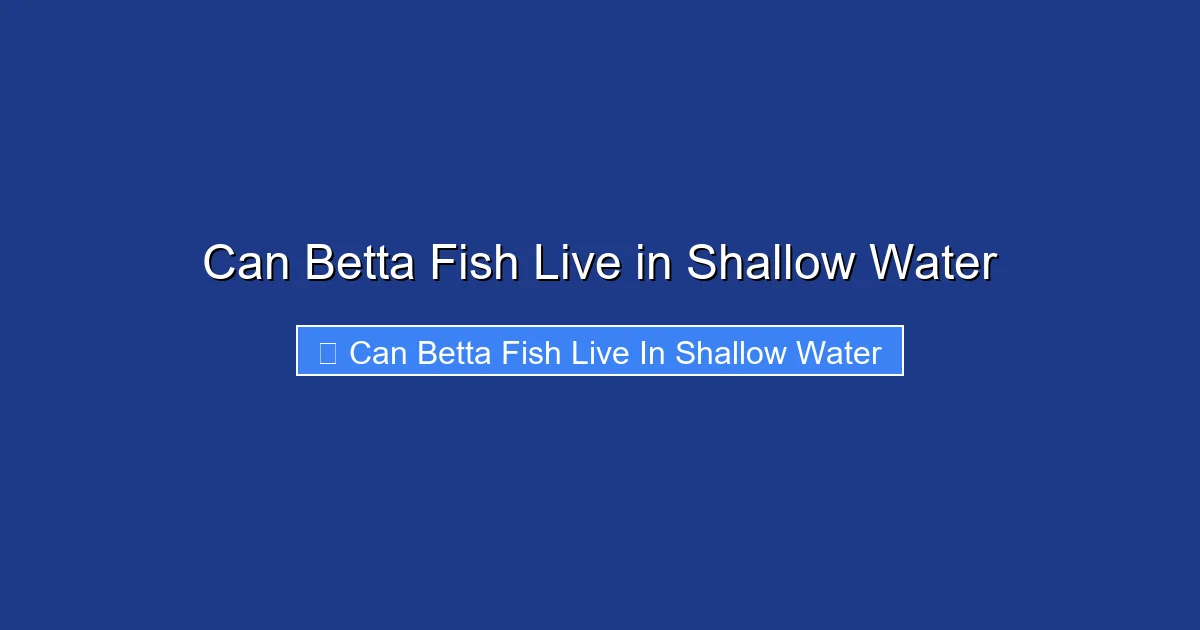 Can Betta Fish Live in Shallow Water