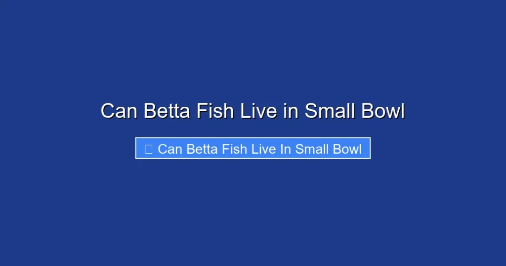 Can Betta Fish Live in Small Bowl