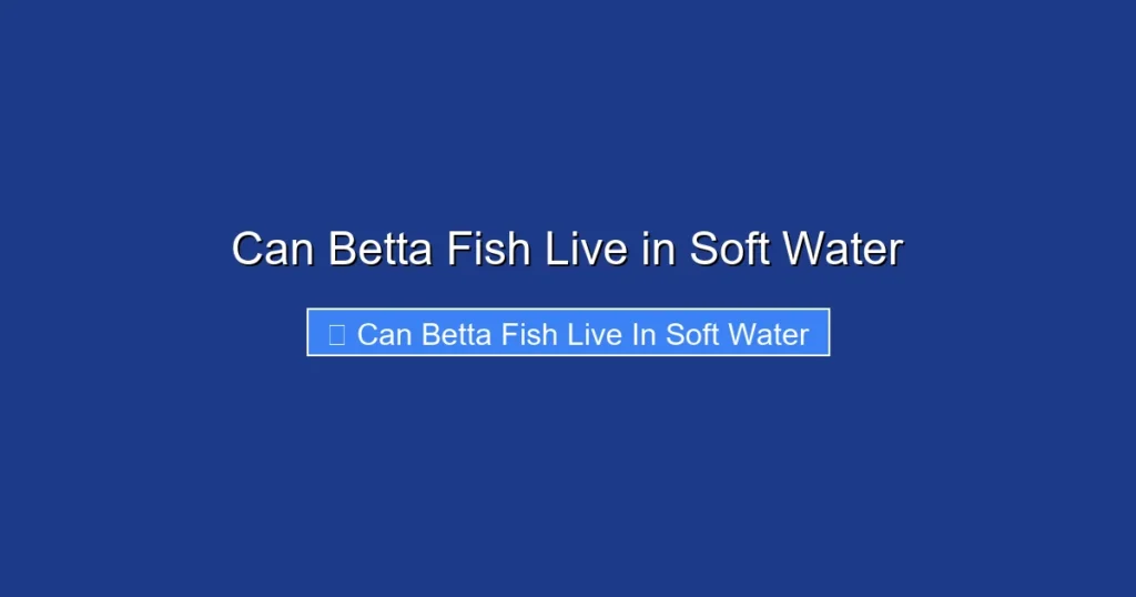 Can Betta Fish Live in Soft Water