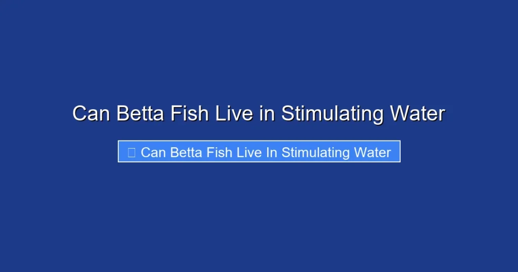 Can Betta Fish Live in Stimulating Water