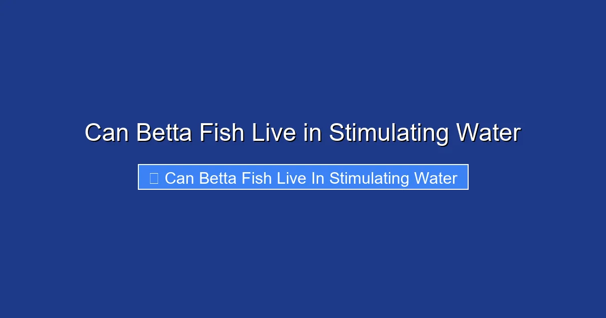 Can Betta Fish Live in Stimulating Water