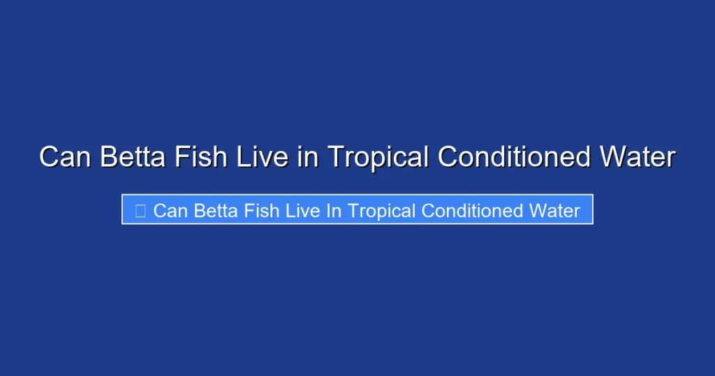 Can Betta Fish Live in Tropical Conditioned Water