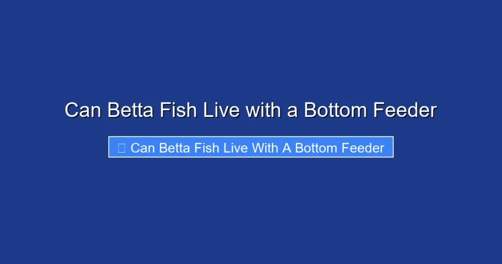 Can Betta Fish Live with a Bottom Feeder