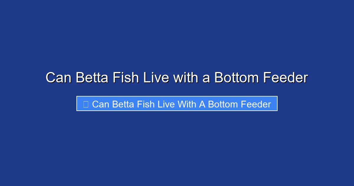 Can Betta Fish Live with a Bottom Feeder