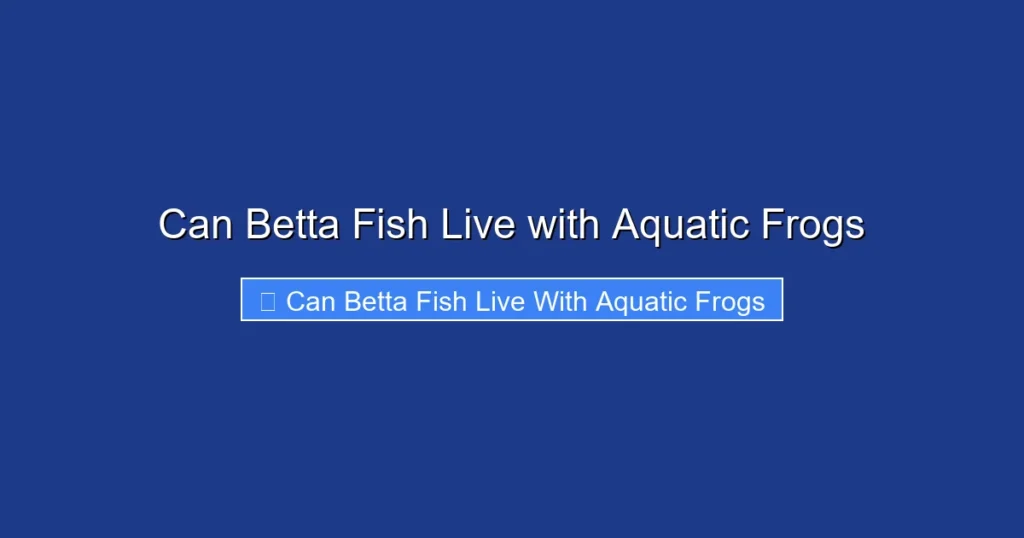 Can Betta Fish Live with Aquatic Frogs