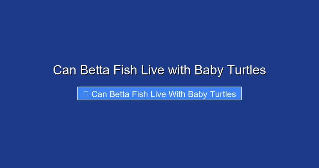 Can Betta Fish Live with Baby Turtles