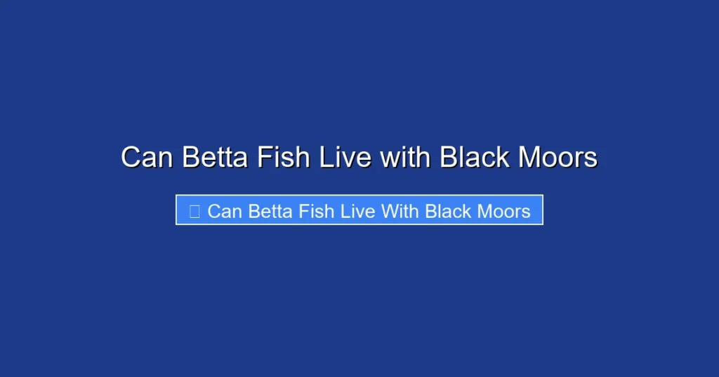 Can Betta Fish Live with Black Moors