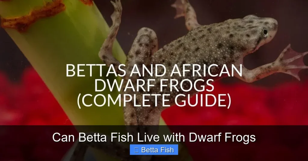 Can Betta Fish Live with Dwarf Frogs
