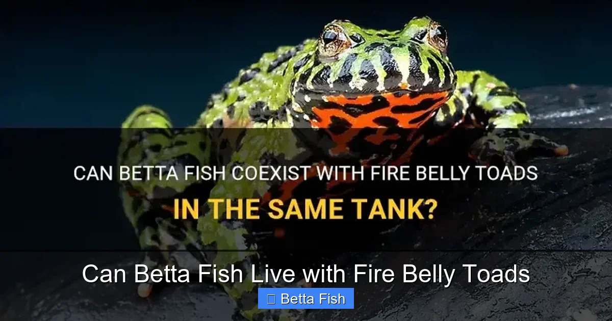 Can Betta Fish Live with Fire Belly Toads