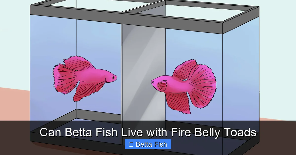 Can Betta Fish Live with Fire Belly Toads