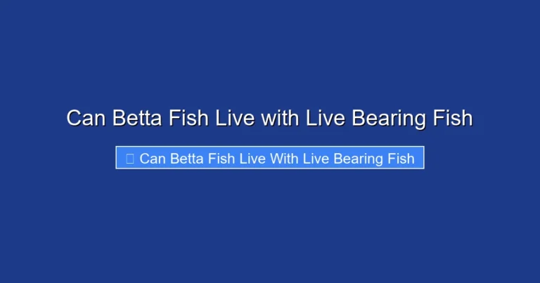 Can Betta Fish Live with Live Bearing Fish