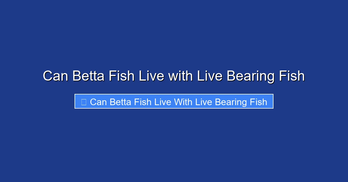 Can Betta Fish Live with Live Bearing Fish