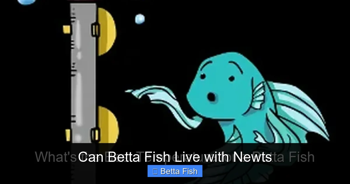 Can Betta Fish Live with Newts