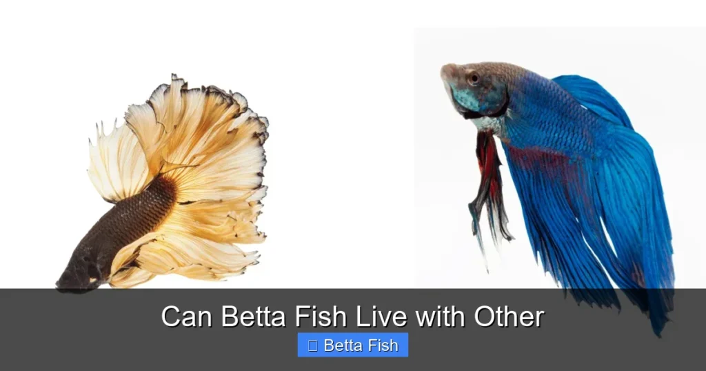 Can Betta Fish Live with Other