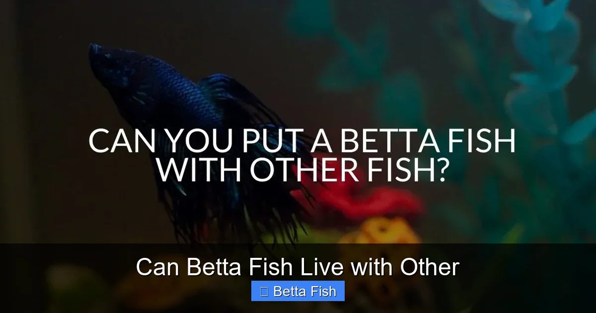 Can Betta Fish Live with Other