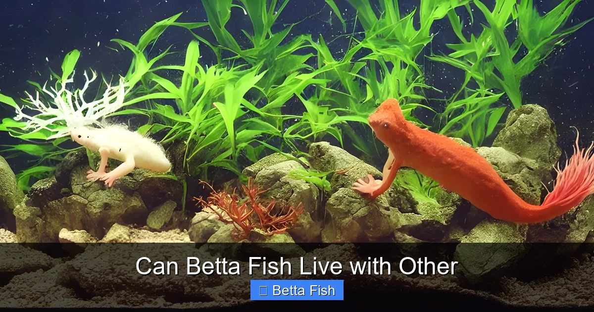 Can Betta Fish Live with Other