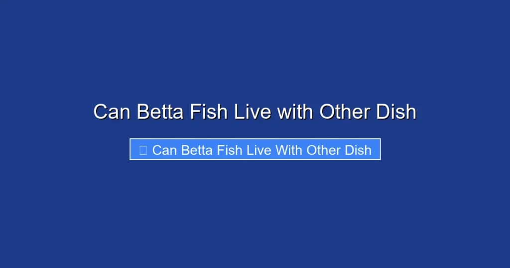 Can Betta Fish Live with Other Dish