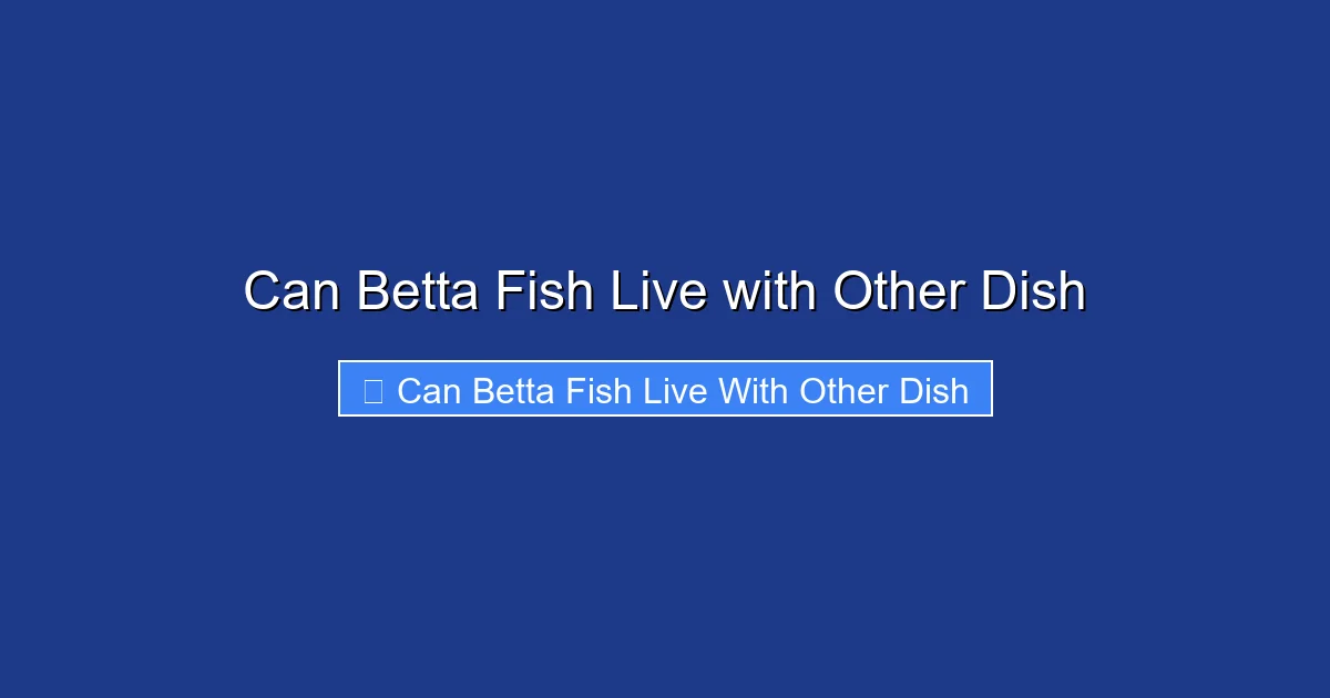 Can Betta Fish Live with Other Dish