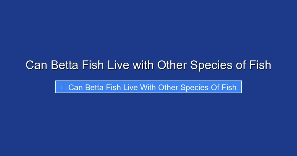 Can Betta Fish Live with Other Species of Fish